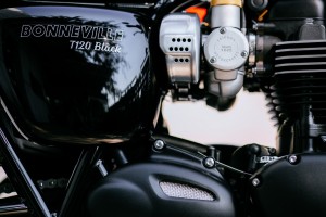 black_detailing